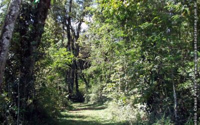 Trilha e Cascata Ecológica