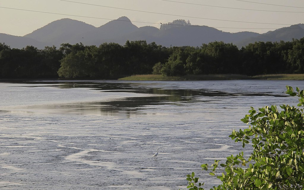 Baía da Babitonga