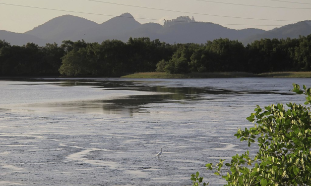 Baía da Babitonga