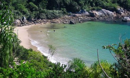 Praia do Araçá