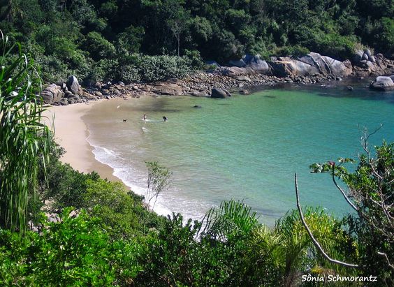 Praia do Araçá