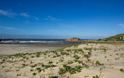 Praia do Tamborete