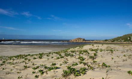 Praia do Tamborete