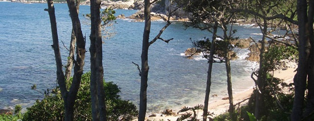 Praia e Trilha da Galheta