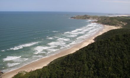 Praia do Manélome