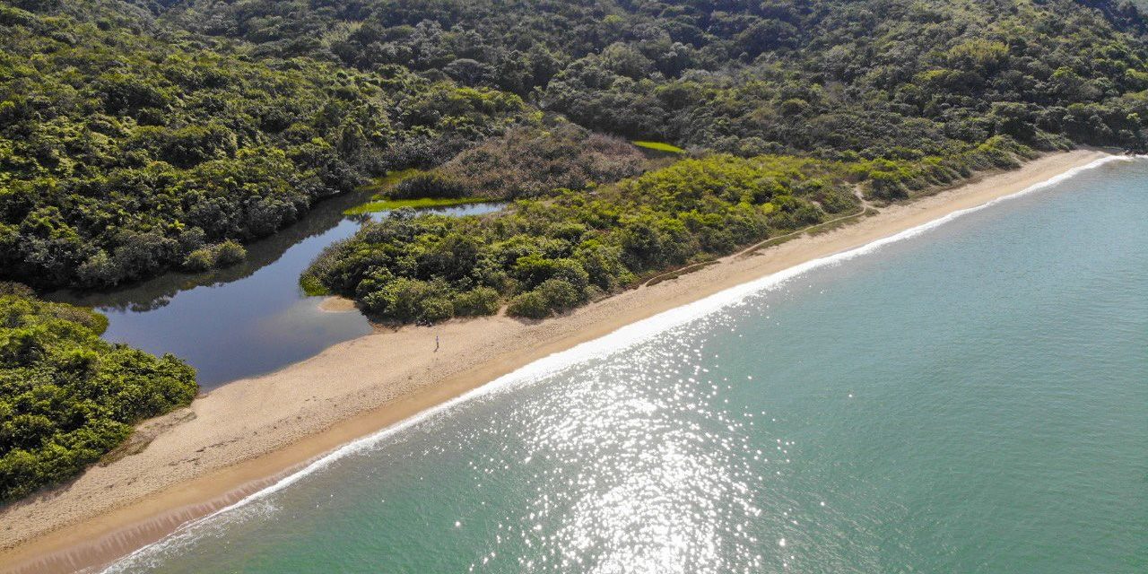 Deserta, do Cardoso, da Lagoa, Triste e Vermelha