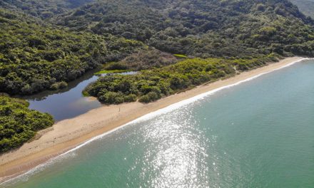 Deserta, do Cardoso, da Lagoa, Triste e Vermelha