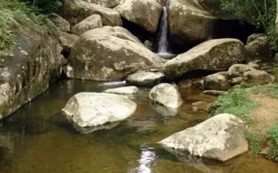 Trilha da Cachoeira do Sertão