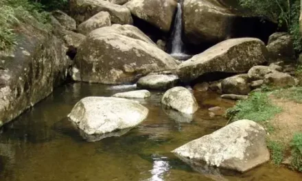 Trilha da Cachoeira do Sertão