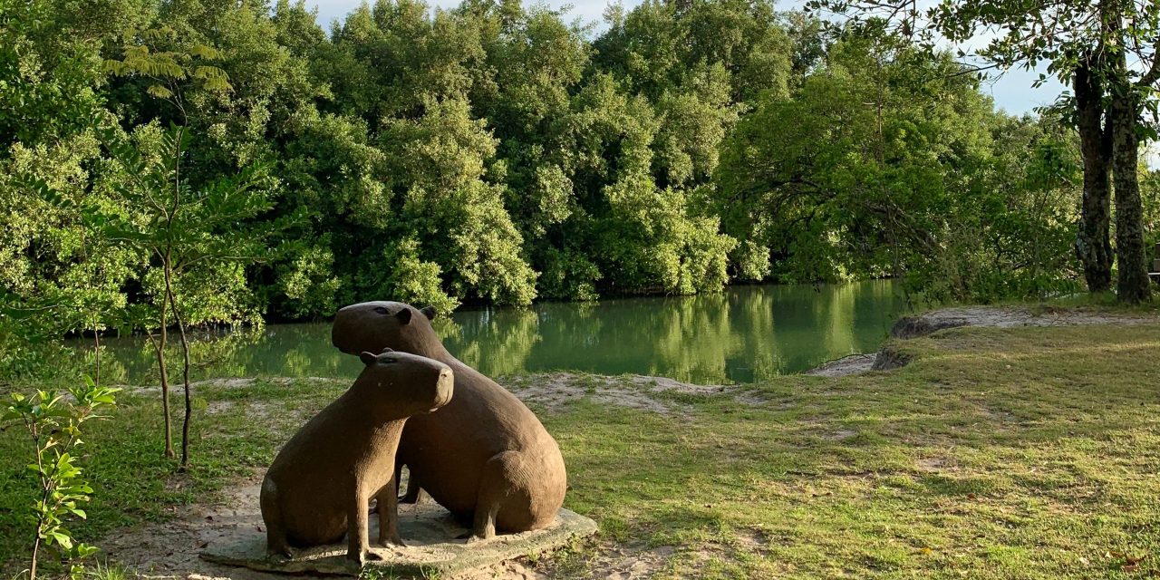 Parque das Capivaras