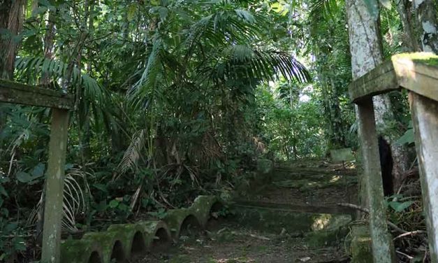 Trilha Ecológica do Juvenato Marista