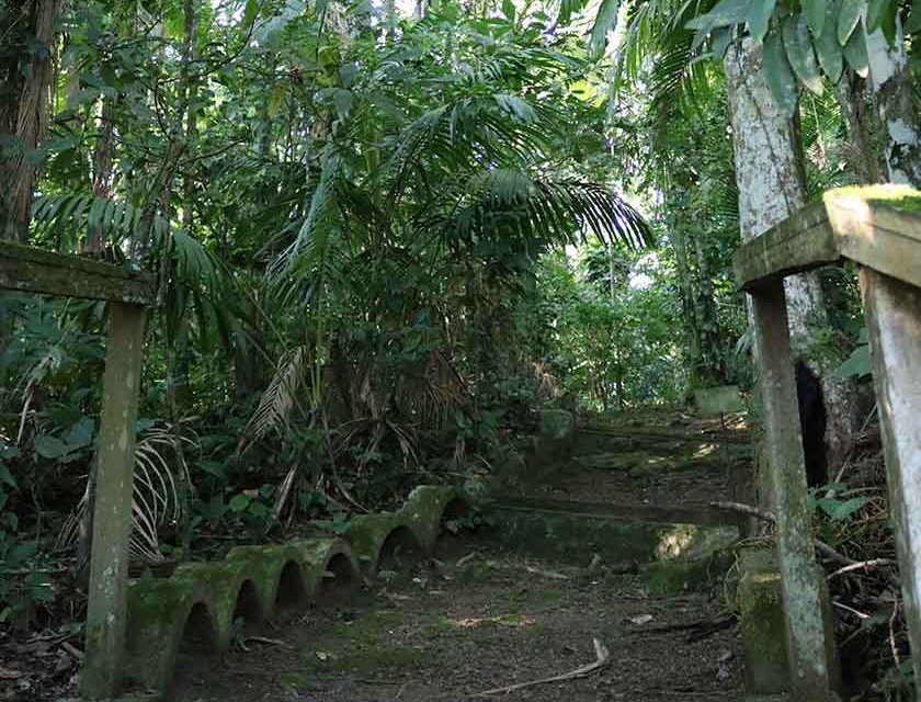 Trilha Ecológica do Juvenato Marista