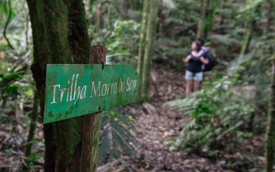 Trilha do Morro do Sapo