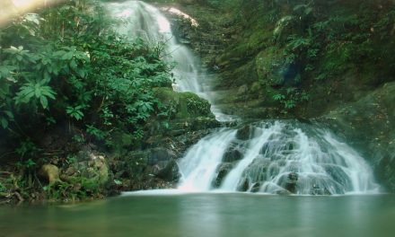 Trilha do Ribeirão Caeté