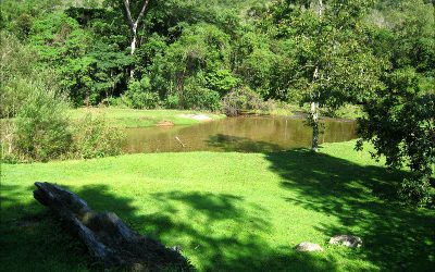 Parque das Nascentes