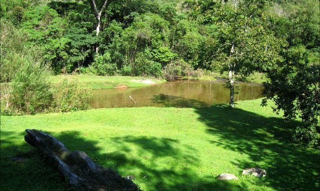 Parque das Nascentes