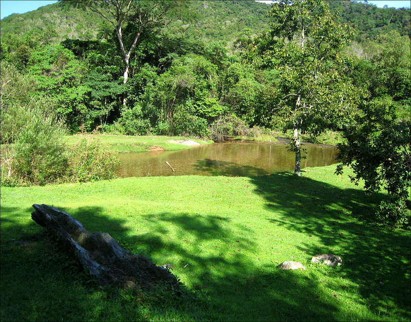 Parque das Nascentes