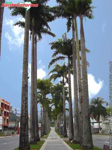 Rua XV de Novembro