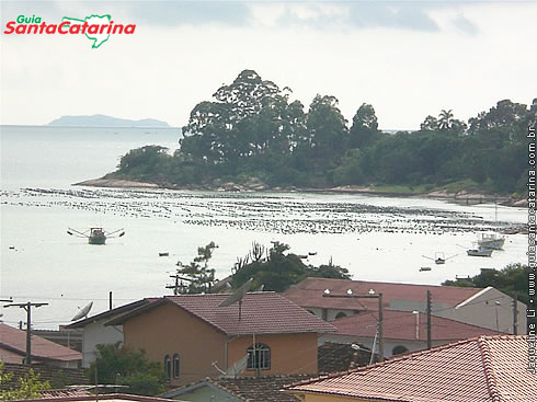 Praia do Canto de Ganchos