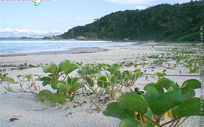 Praia do Sissial