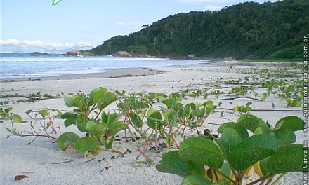 Praia do Sissial