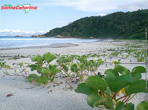 Praia do Sissial