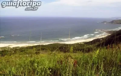 Praia da Galheta