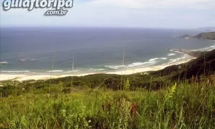 Praia da Galheta