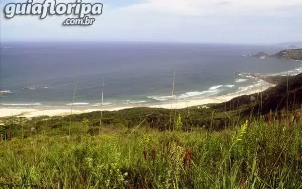 Praia da Galheta