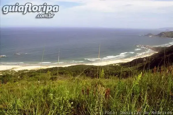 Praia da Galheta