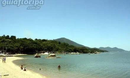 Praia da Tapera