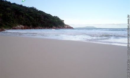 Ilha do Arvoredo