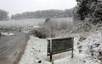 Viagens de Última Hora Podem Surpreender