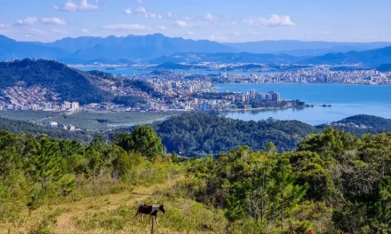 Trilha Monte Verde até Costa da Lagoa