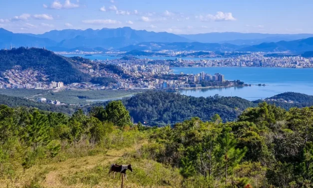 Trilha Monte Verde até Costa da Lagoa