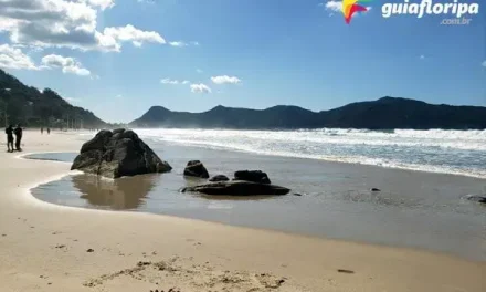 Trilha Cachoeira da Solidão