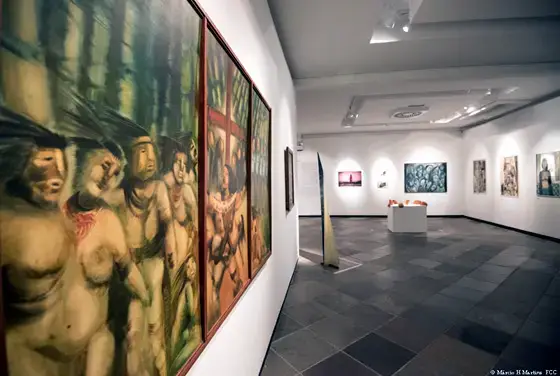 Museu de Arte de Santa Catarina | Masc