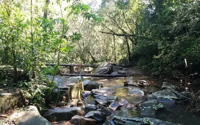 Trilha do Poção Córrego Grande