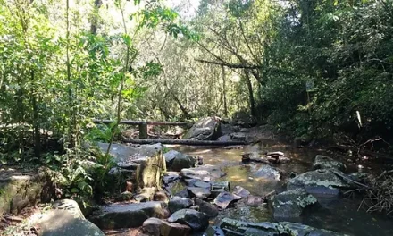 Trilha do Poção Córrego Grande