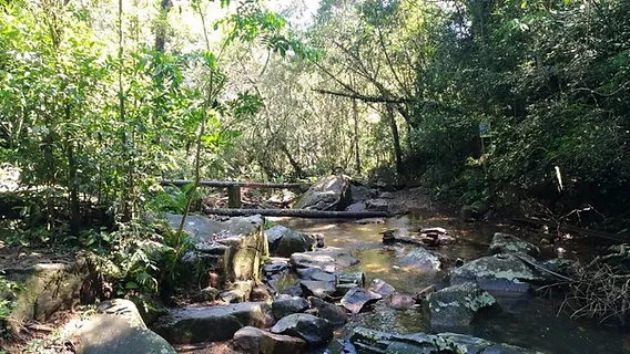 Trilha do Poção Córrego Grande