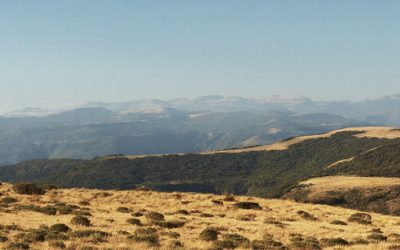 Campo dos Padres