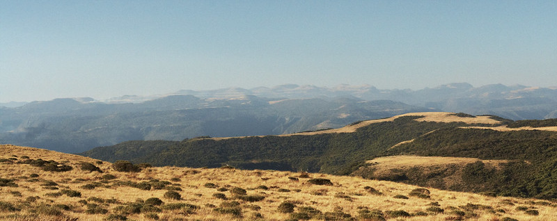 Campo dos Padres