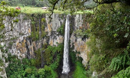 Cascata do Avencal