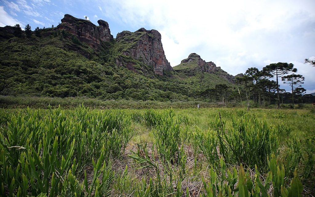 Pedra da Águia