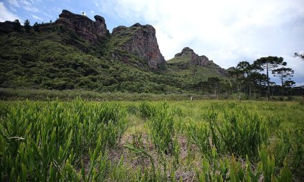 Pedra da Águia