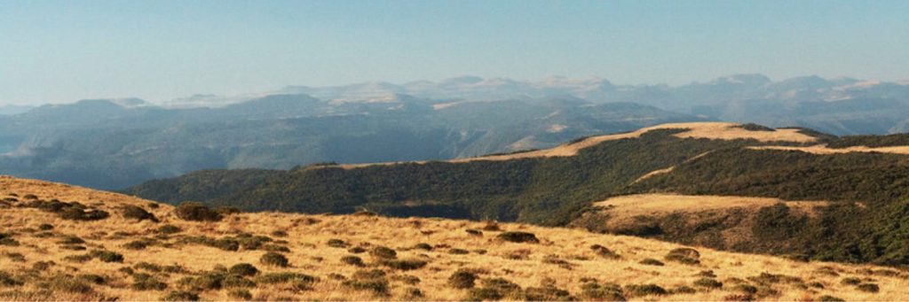 campo-dos-padres-sao-joaquim
